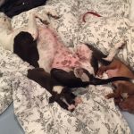 Blue Is A Good Mentor