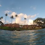 #TBTwJnD Jason's Past Hawaiian Vacations : views 