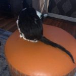 Memories Of George: Deb