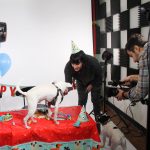 Alfie's 1st Birthday! : Alfie's 1st birthday! 