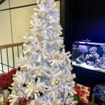 White Christmas : Emmis Austin Radio Holiday Christmas Party. 