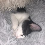 Memories Of George: Deb