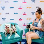 Deb And Alfie At Pup Fest : Deb on a blue chair with two Frenchies at Pup fest. 