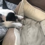 Deb's Trip Down To San Antonio: Deb's Trip Down To San Antonio