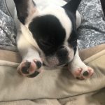 Deb's Trip Down To San Antonio: Deb's Trip Down To San Antonio