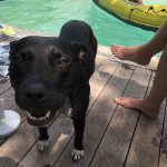 Deb Takes Alfie And Braidy To The Pool: Braidy at the pool. 
