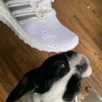 Deb's New ‘Game Of Thrones’ x Adidas Ultra Boosts Are Here!: Deb's New ‘Game Of Thrones’ x Adidas Ultra Boosts Are Here!
