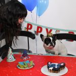 Alfie's 1st Birthday! : Alfie's 1st birthday! 