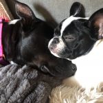 Cuddles With Braidy And Alfie: Deb