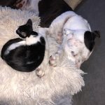 Memories Of George: Deb