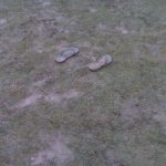 #TBTwJnD ACL 2009: The Mud Year: #TBTwJnD ACL 2009: The Mud Year