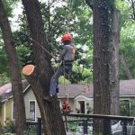 Be Super Careful And Nobody Breathe