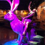 Keri From Toronto Enjoying The Jackalope Afterparty