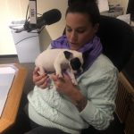 Say Hello To Alfie!: Jason and her new dog Alfie in the studio. 