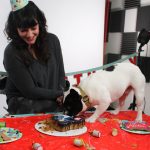 Alfie's 1st Birthday! : Alfie's 1st birthday! 