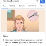 How To Cut A Mullet: Screen shot of how to cut your hair on Google. 