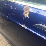 That's Just Gross : Something on the side of Jason's car. 