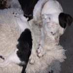 Memories Of George: Deb