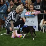 Puppy Bowl Pics: Puppy Bowl Pics