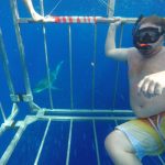 #TBTwJnD Jason's Past Hawaiian Vacations : Jason with the sharks! 