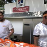 Pup Fest Pics : Food at the Amazon Treasure Truck Pup Fest. 