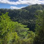 Deb's Hawaiian Holiday : the view 