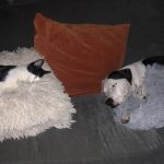 Brotherly Quality Time : Blue and George after Blue getting his leg amputated. 