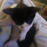 Memories Of George: Deb