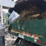 Farewell, Cruel Wood