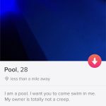 Jason Created Tinder Account For His Pool: a picture of Jason's pool he used for his Tinder account