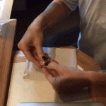 Turns Out It's A Wasp Egg