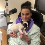 Say Hello To Alfie!: Jason and her new dog Alfie in the studio. 