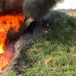 Don't Let It Spread!