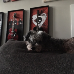 What a welcoming stoic little gremlin always ready hang. - White Ranger Gil: Silent J lying on the couch in front of two red paintings. 
