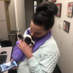 Say Hello To Alfie!: Jason and her new dog Alfie in the studio. 