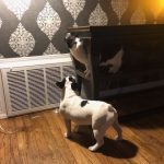 Memories Of George: Deb