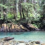 Deb's Washington Vacation : Water and spring during Deb's camping trip in Washington. 