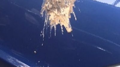 jason_poop_car_-_copy