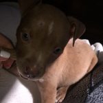 Juan Carlos Is A Bag Of Trouble