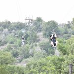 Zipping Through The Treetops