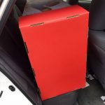 What's That Stuffed In The Back Of Alex's Car