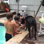 Deb Takes Alfie And Braidy To The Pool: Kids at the pool with Braidy. 