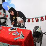 Alfie's 1st Birthday! : Alfie's 1st birthday! 