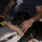 Cuddles With Braidy And Alfie: Deb