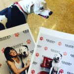 Free dog portraits by Kriser's natural pet food store. : Pictures of Deb and Blue from Kriser's natural pet food store's free portraits. 