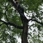 WHAT ARE YOU DOING ALL THE WAY UP THERE?!