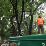 Quit! Stop! Get Down From There!