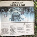 Deb's Vacation To Isla Mujeres: A news paper article of the Temazcal massage hut on Isla Mujeres. 