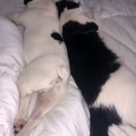 Memories Of George: Deb