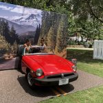 Pup Fest Pics : A car at the Amazon Treasure Truck Pup Fest. 